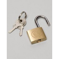 Palmero Healthcare Padlock for Locking Canister Holder